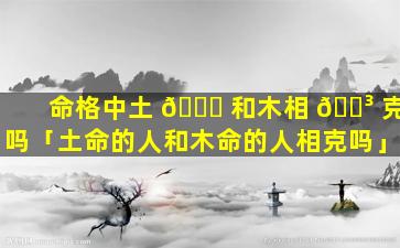 命格中土 🐒 和木相 🌳 克吗「土命的人和木命的人相克吗」